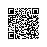 SIT2024BE-S3-33N-13-333333G QRCode