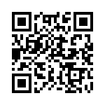 SMBG5384B-TR13 QRCode