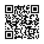 STPSC20065W QRCode