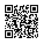 T-100-120 QRCode