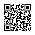 T-100-170 QRCode