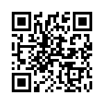 T10B80B QRCode