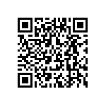 T11-2-2-00A-9095-2-V QRCode