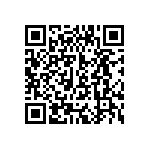 T11-4-3-00A-01-31A-V QRCode