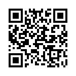 T31704540000G QRCode