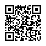 T37017-13-0 QRCode