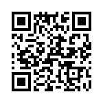 T37070-13-0 QRCode