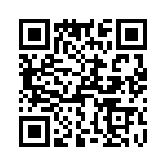 T37113-22-0 QRCode