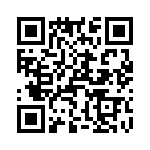 T37132-09-0 QRCode