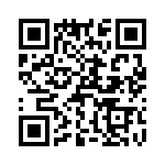 T37133-02-0 QRCode