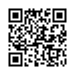 T37133-09-0 QRCode
