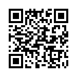 T37138-07-0 QRCode