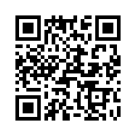 T37160-01-0 QRCode