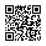 T37162-20-0 QRCode