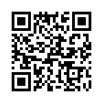 T37173-07-0 QRCode