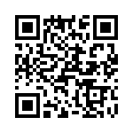 T38000-06-0 QRCode