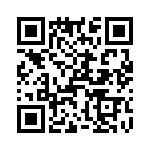 T38000-07-0 QRCode