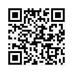 T38001-03-0 QRCode