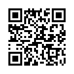 T38001-12-0 QRCode