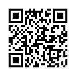 T38001-13-0 QRCode