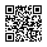 T38002-07-0 QRCode