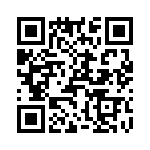 T38002-12-0 QRCode