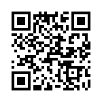 T38003-07-0 QRCode