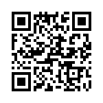 T38005-03-0 QRCode