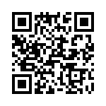 T38005-07-0 QRCode