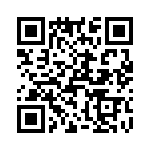 T38007-03-0 QRCode