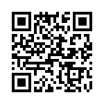 T38007-04-0 QRCode