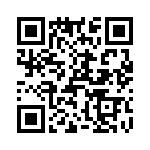 T38007-13-0 QRCode