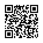 T38008-02-0 QRCode