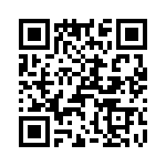 T38010-07-0 QRCode