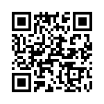 T38010-09-0 QRCode