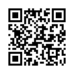 T38010-13-0 QRCode