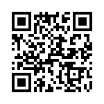 T38011-10-0 QRCode