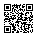 T38011-17-0 QRCode