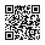 T38012-09-0 QRCode