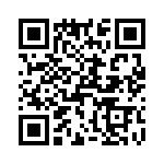 T38013-02-0 QRCode