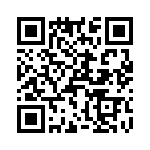 T38013-06-0 QRCode