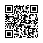 T38013-09-0 QRCode