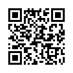 T38013-10-0 QRCode