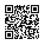 T38013-21-0 QRCode