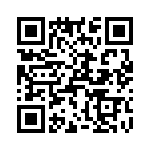 T38013-23-0 QRCode