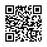 T38013-26-0 QRCode