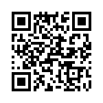 T38015-04-0 QRCode