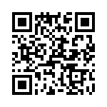T38015-12-0 QRCode