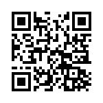 T38017-04-0 QRCode