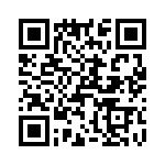 T38017-07-0 QRCode